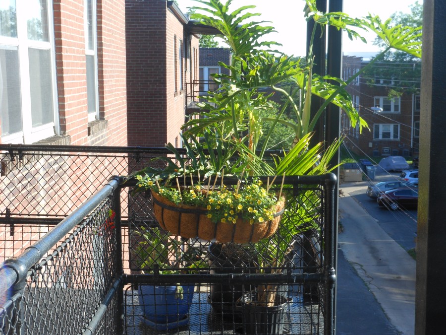 2018 Fire escape garden